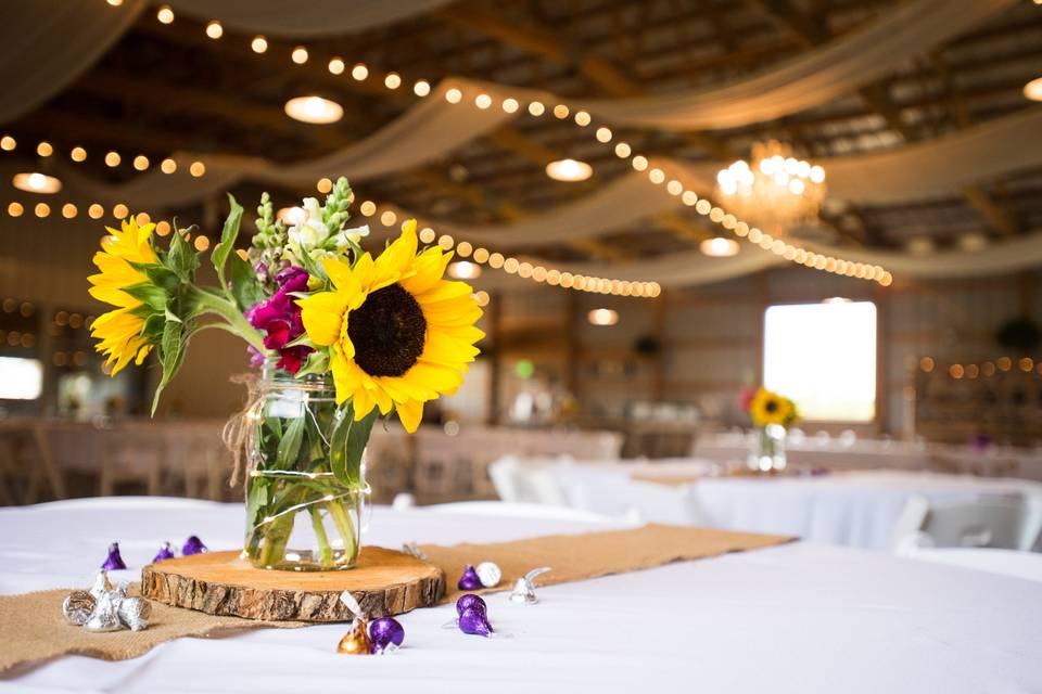 Dining area set-up