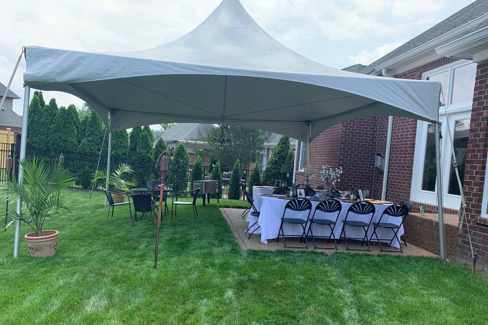 Outdoor engagement party