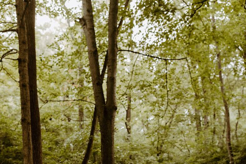 Boho Forest Wedding Couple