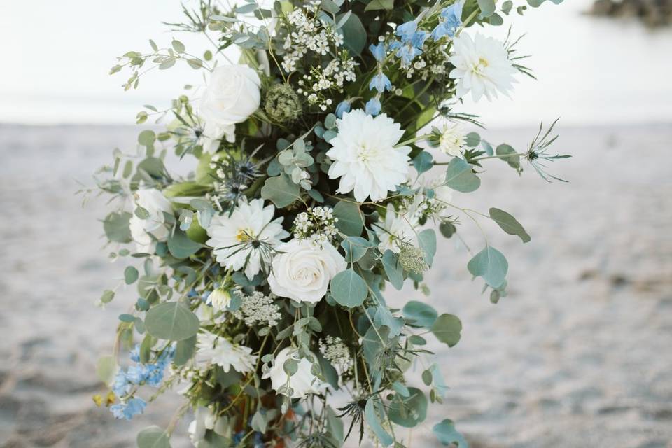 Beach Elopement Arch