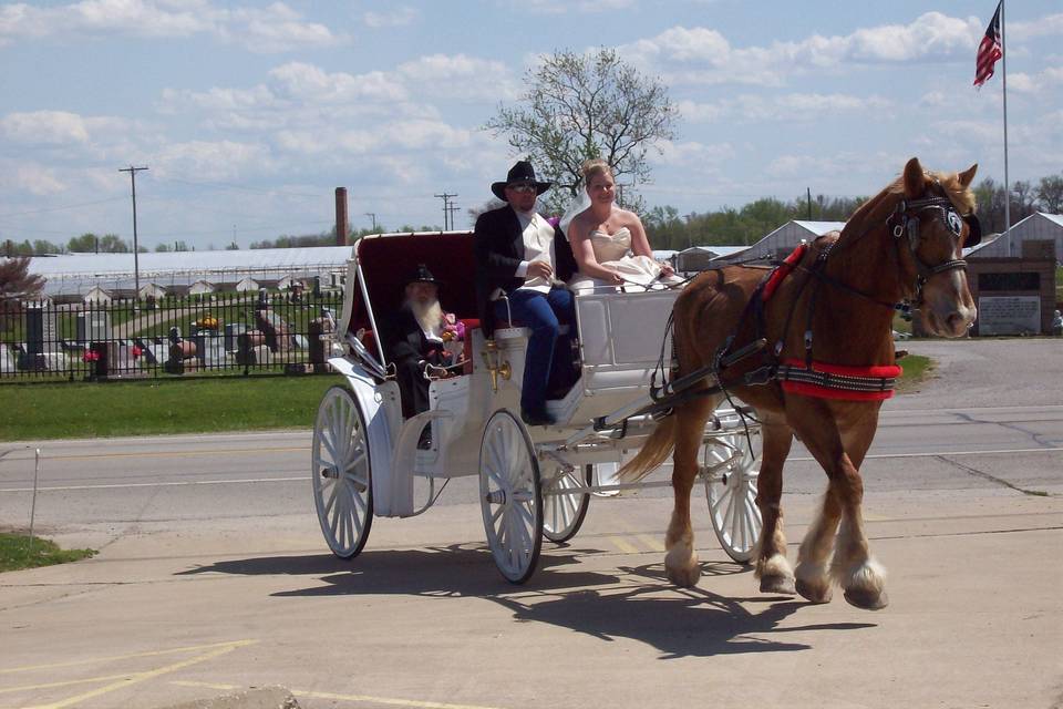 MW Carriage Company