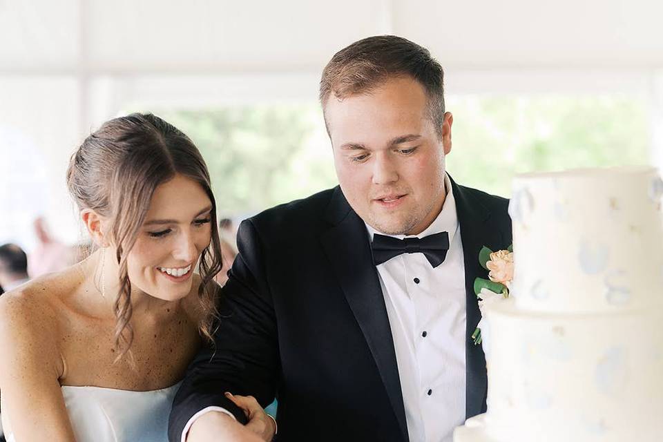 Cake Cutting