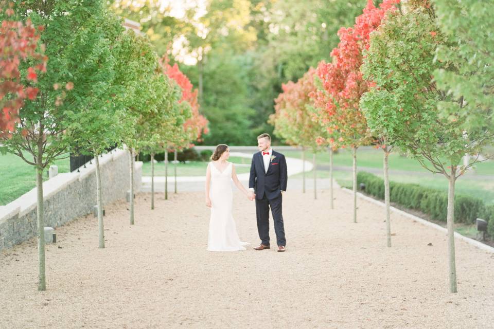 Tree Lined Path