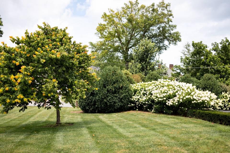 Formal Gardens