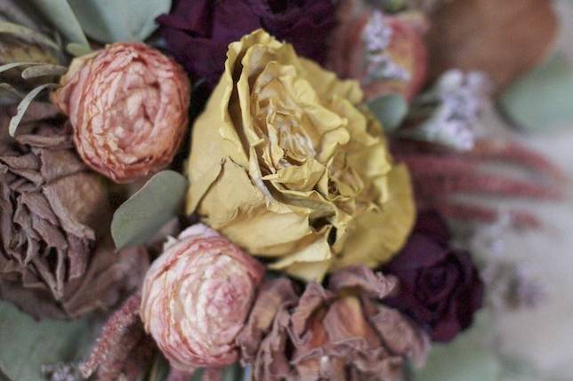 Details of dried roses