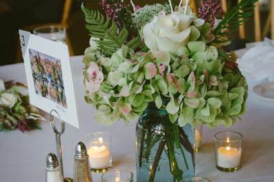 Caitlin Dennis Photography