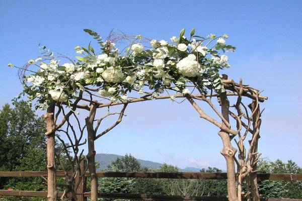 Rhodo Creations