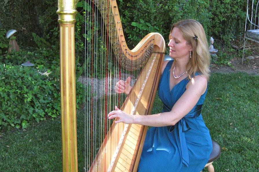 Music for a garden wedding at Ojai's Lavender Inn.