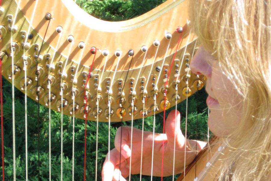 Santa Barbara Courthouse Sunken Gardens wedding with harp.