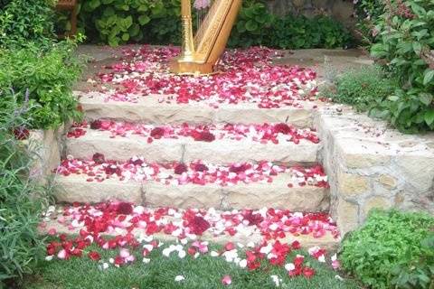 The garden at San Ysidro Ranch is perfectly romantic with birds singing, flowers blooming and harp music enchanting.