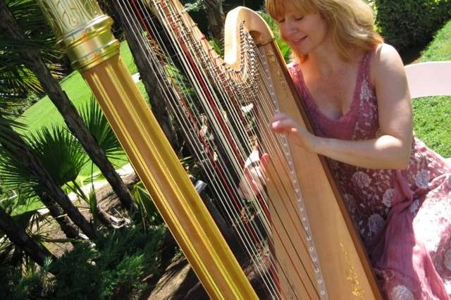 The weather is perfect for an October wedding in the Santa Barbara Courthouse Sunken Gardens with harp.