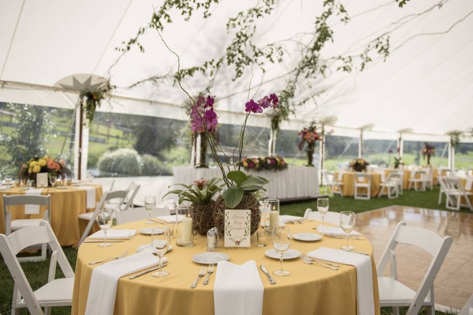 Reception in the tent