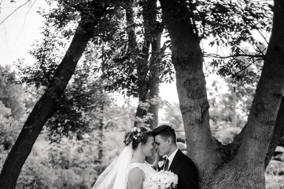 Bride and groom portraits