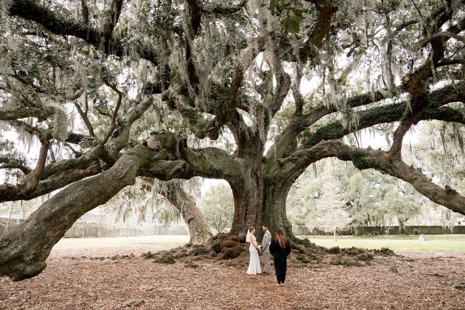 Audubon Park