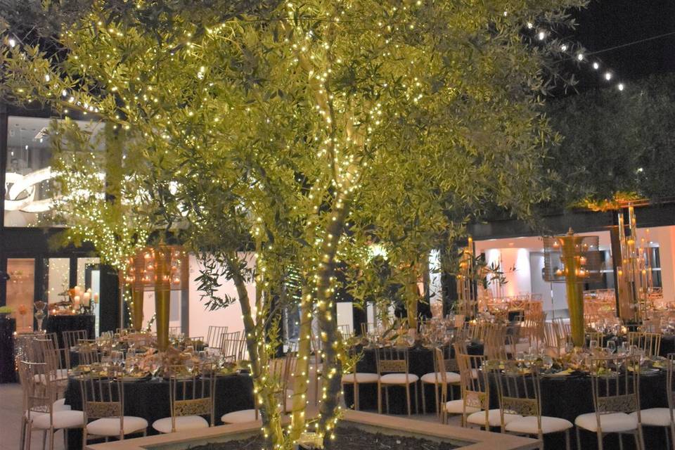 Patio- gala