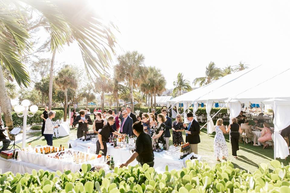 Tented Back Lawn Wedding