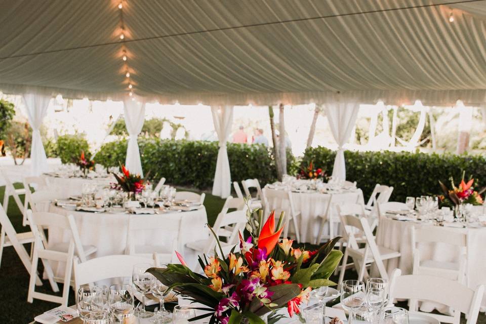 Oceanfront Lawn Wedding