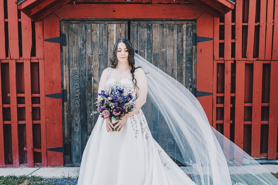 Barn Bride