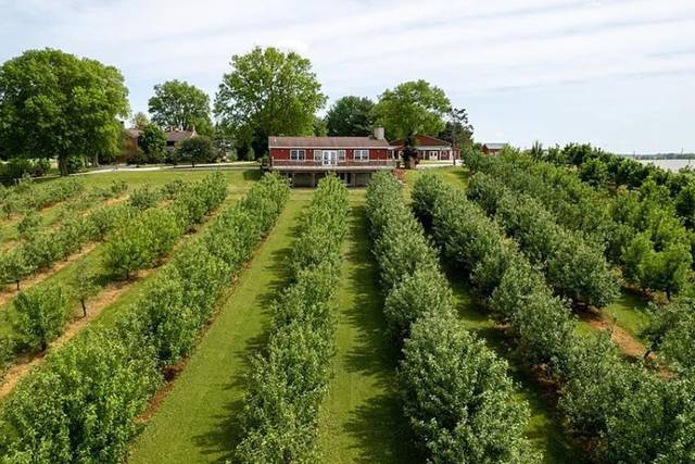 Mill Barn over the Orchard