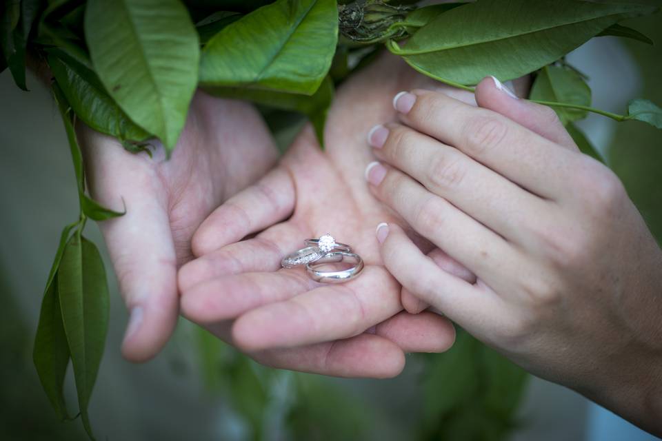 Engagement and wedding band photograph, traditional Hawaiian style Maile lei draped across the wedding couples hands for a naturally posed journalistic view of a classic image.