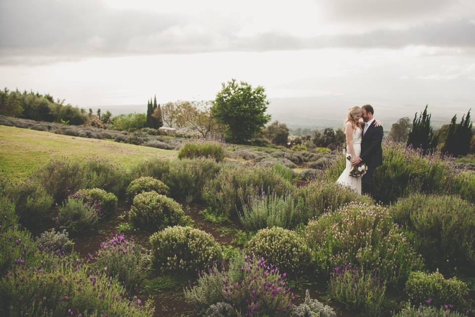 Alii Kula Lavender Farm