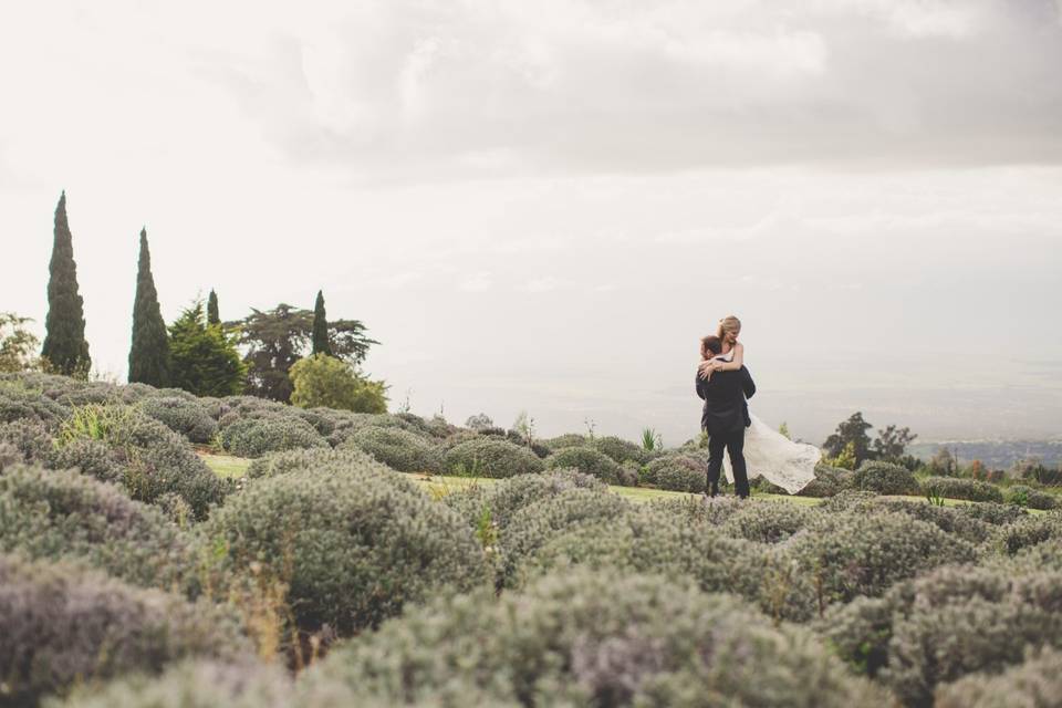 Alii Kula Lavender Farm