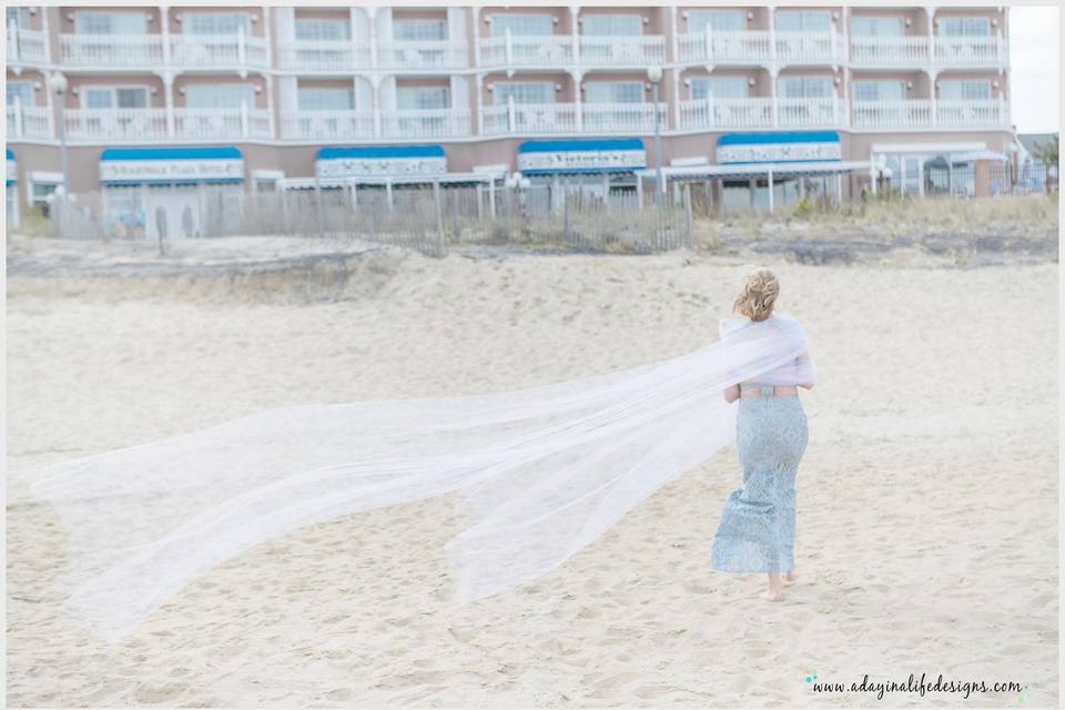A Day in A LIFE Photography