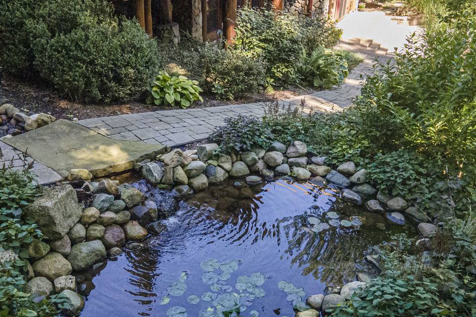 Koi-fish Pond