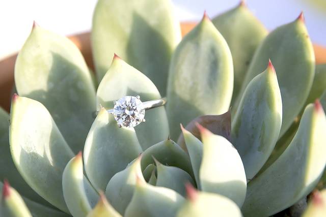 Heather King Photography