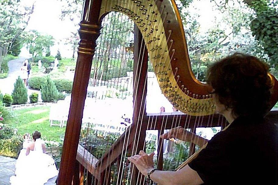 Harpist, Jenny Glass