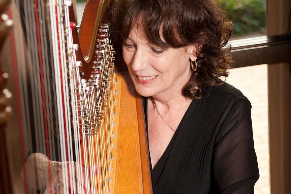 Harpist, Jenny Glass