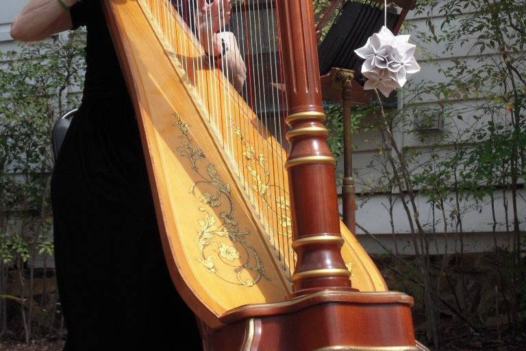 Harpist, Jenny Glass