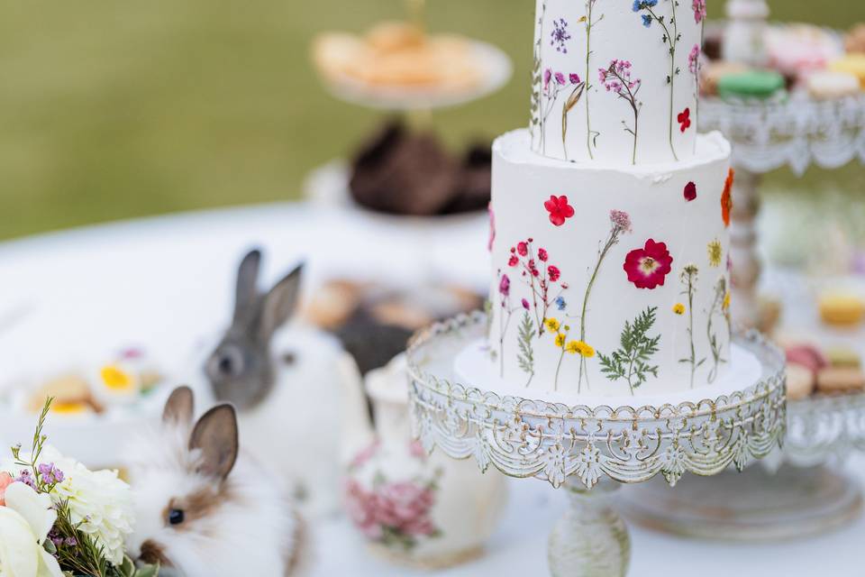 Cakes