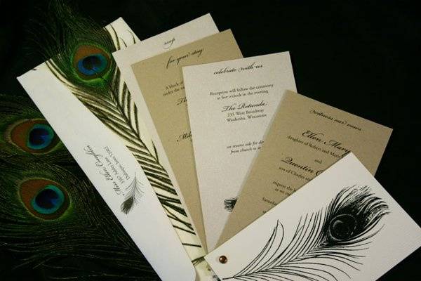 Elegant peacock feather fan invitation