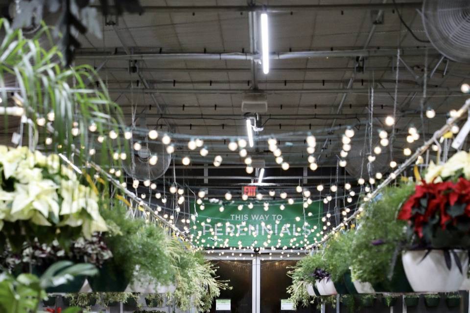 Greenhouse Christmas