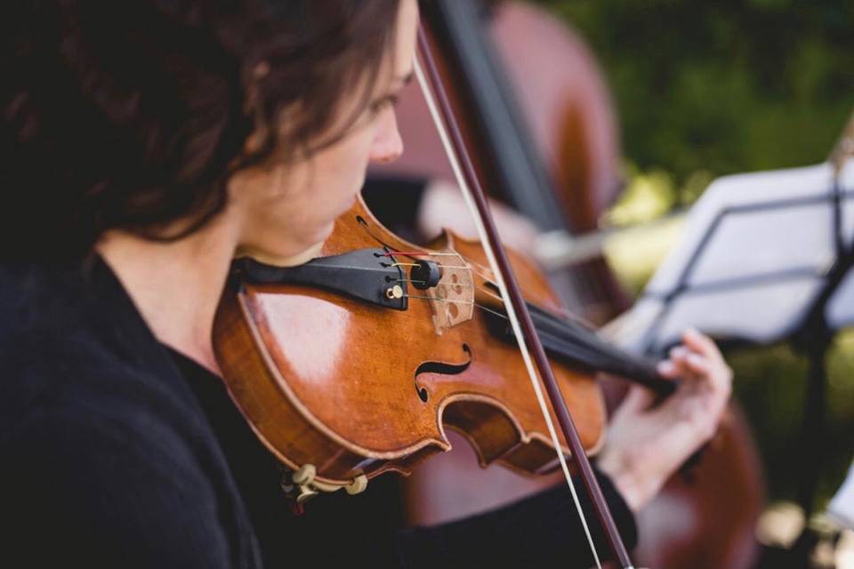 Wedding violinist