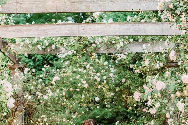 Jennifer Larsen Photography