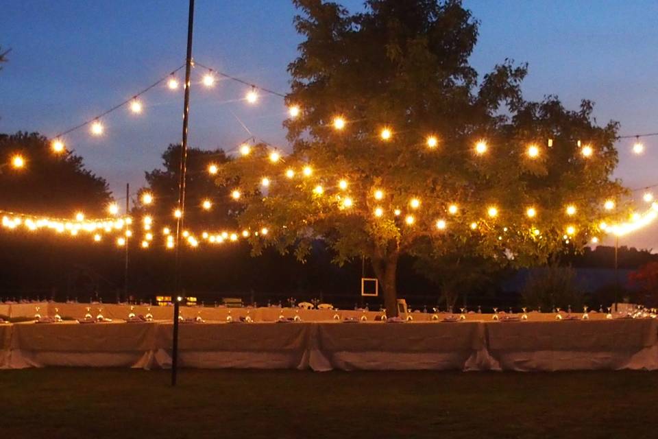 Dusk Reception with Lights