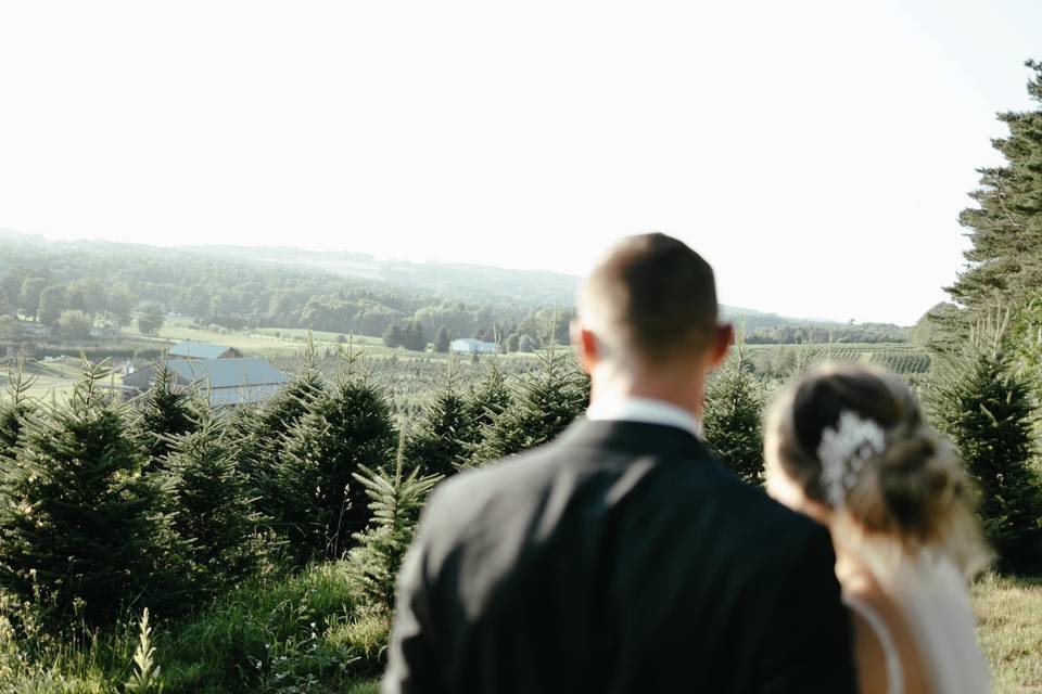 Into The Distance