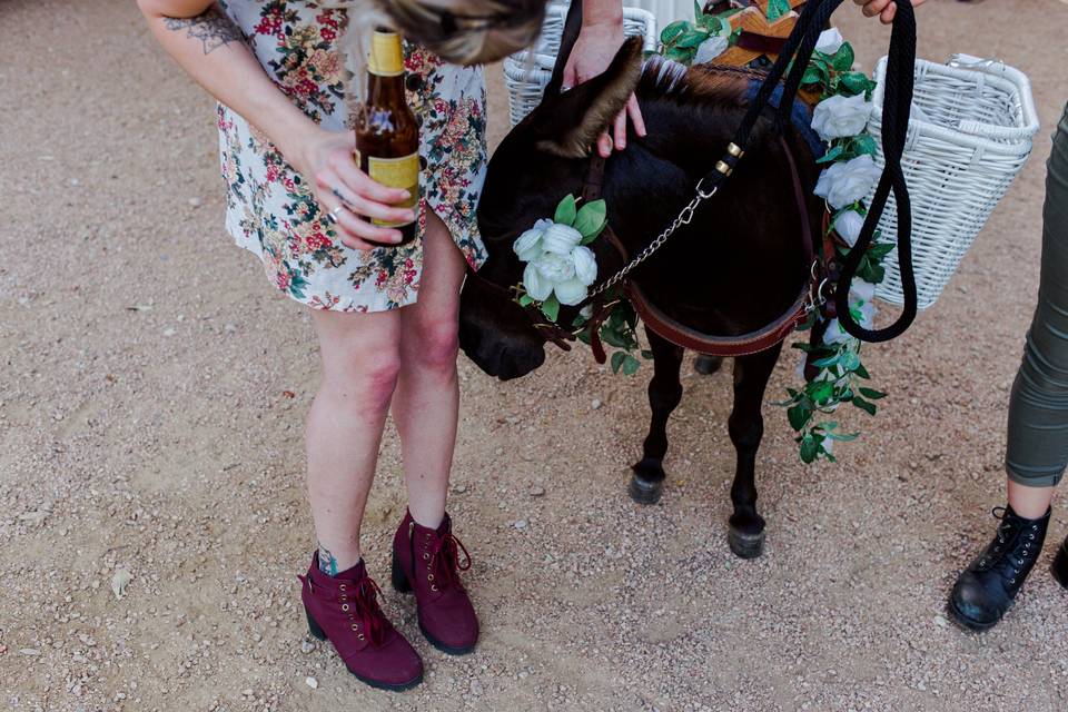 Wedding guest