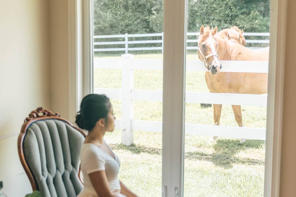 Bridal suite with horses