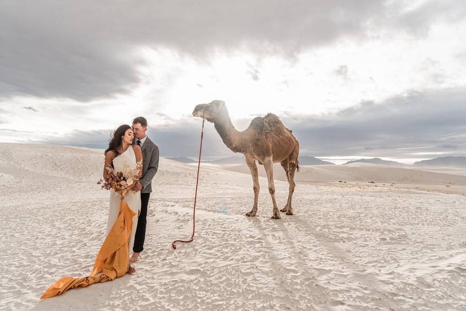 Portrait with a camel
