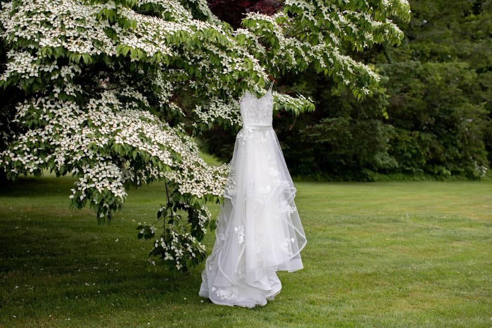 Wedding dress in bloom