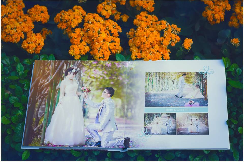 Wedding photo album