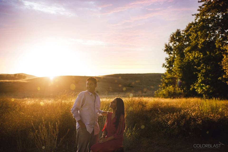 Colorblast Weddings