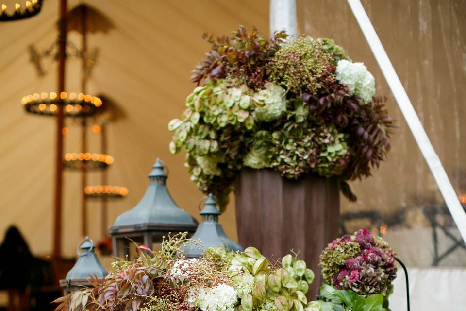 Rustic Elegance - Dawn Ranch Wedding, Russian River