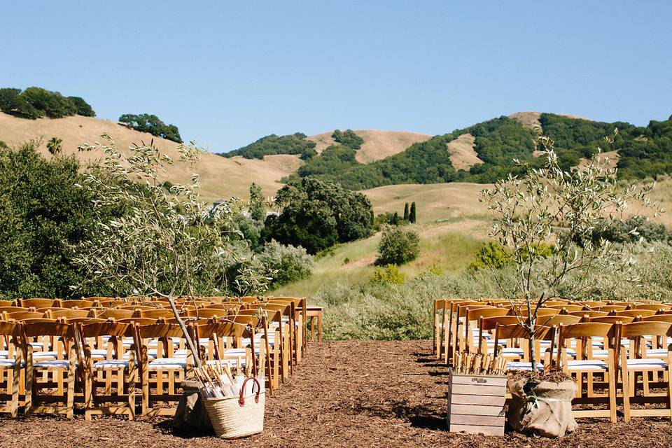 Vintage Ranch Wedding - McEvoy Ranch, Petaluma