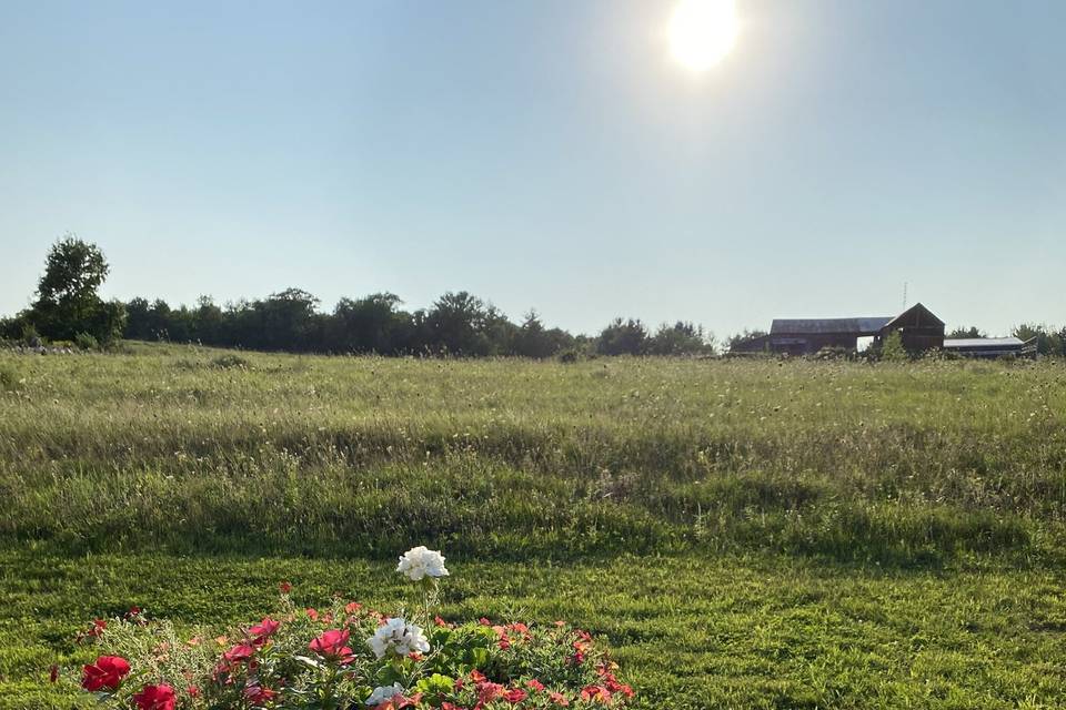 View of neighbor's farm.