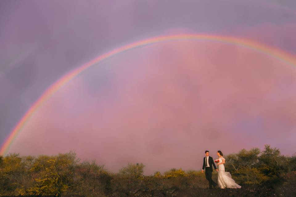 Bride and Groom Portraits