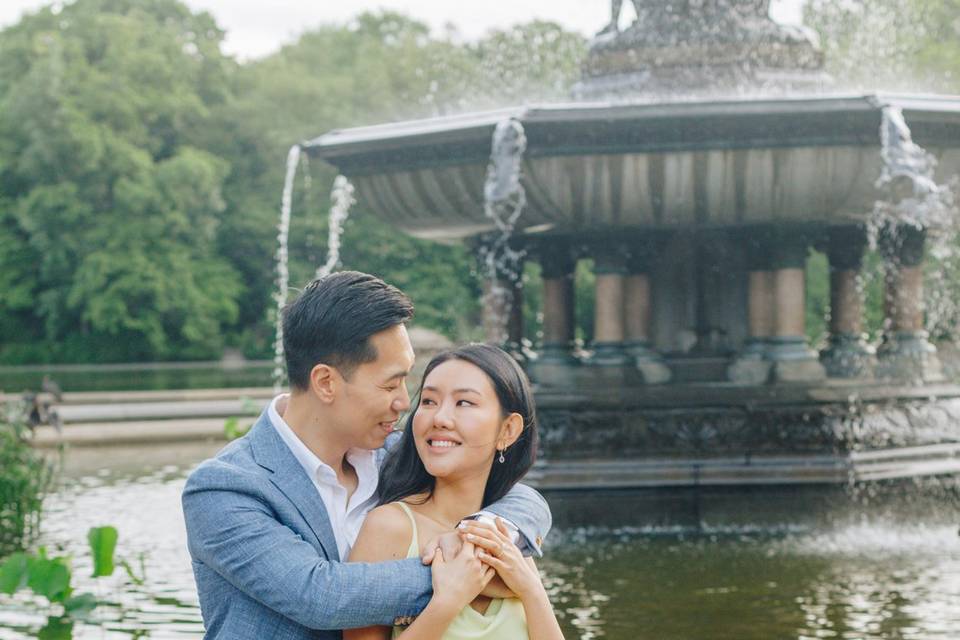 Central Park Engagement